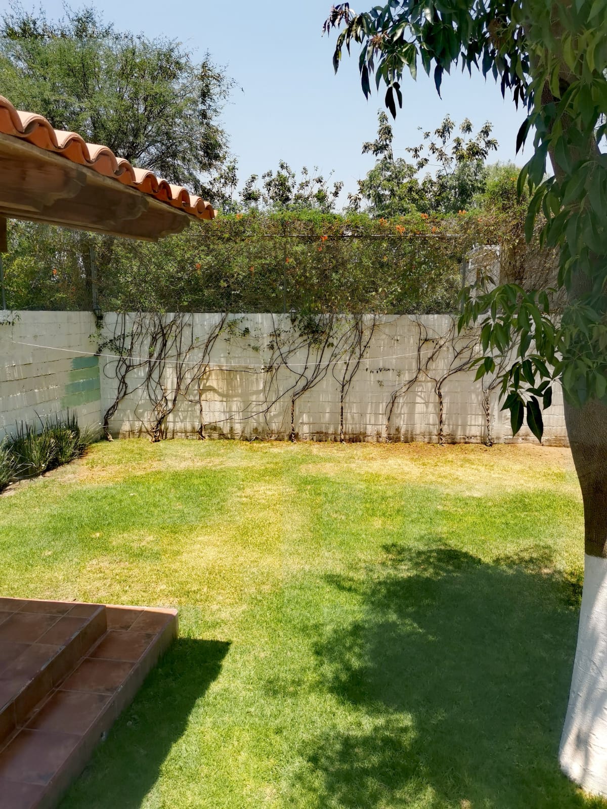 Jardín de Casa Irazú