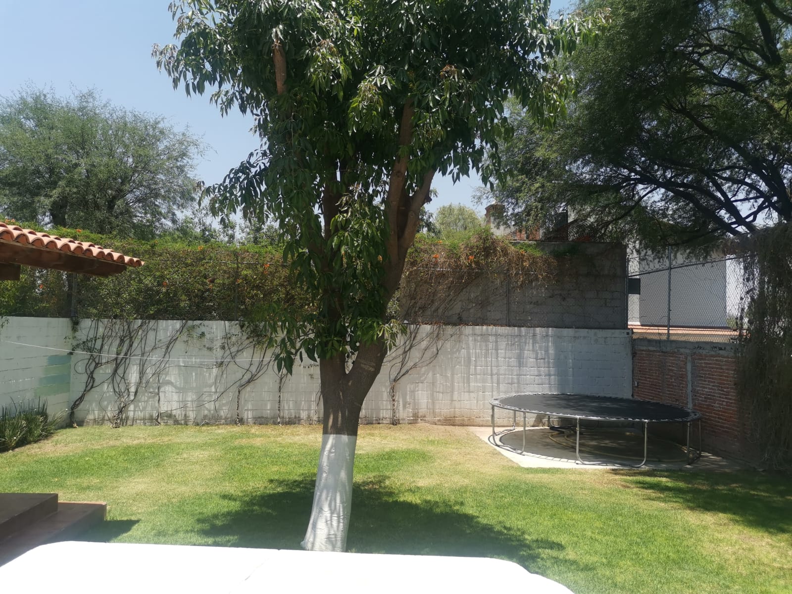 Jardín de Casa Irazú